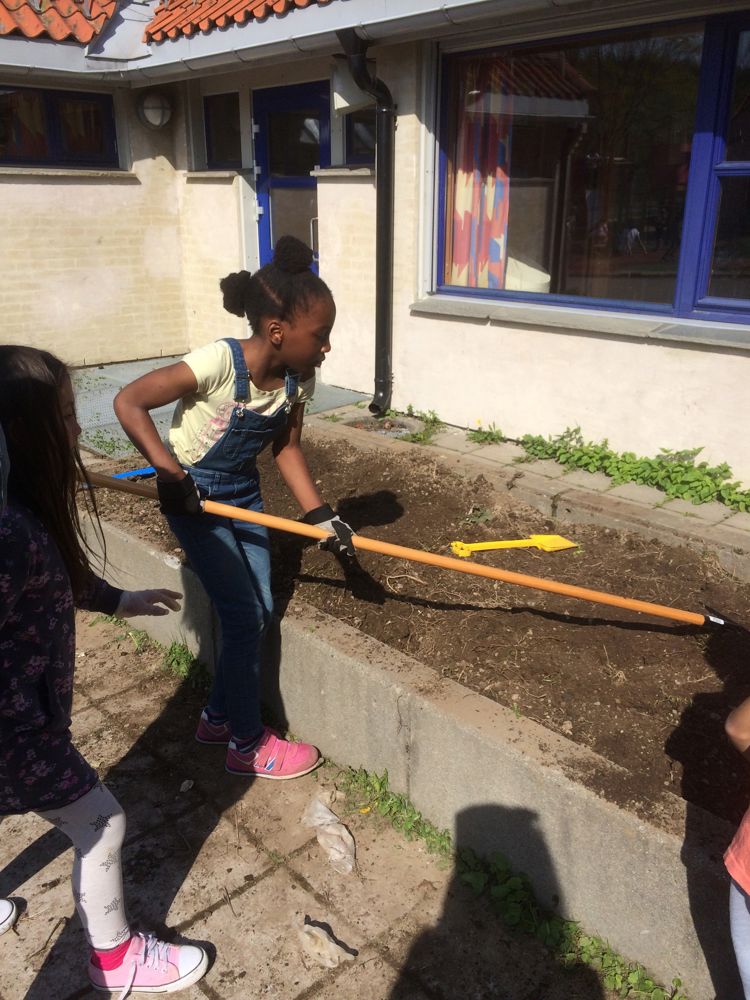 Elev luker i blomsterbed
