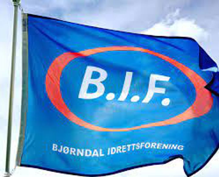 bjørndal idrett flagg